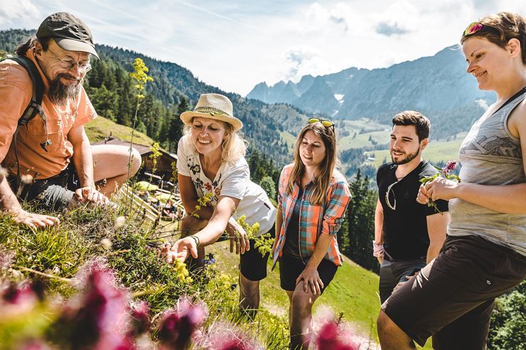 Themed tour - Plant treasures in the Kaiser Mountains