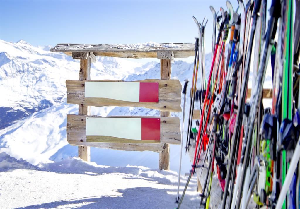 GoingSport Filiale Attività principale