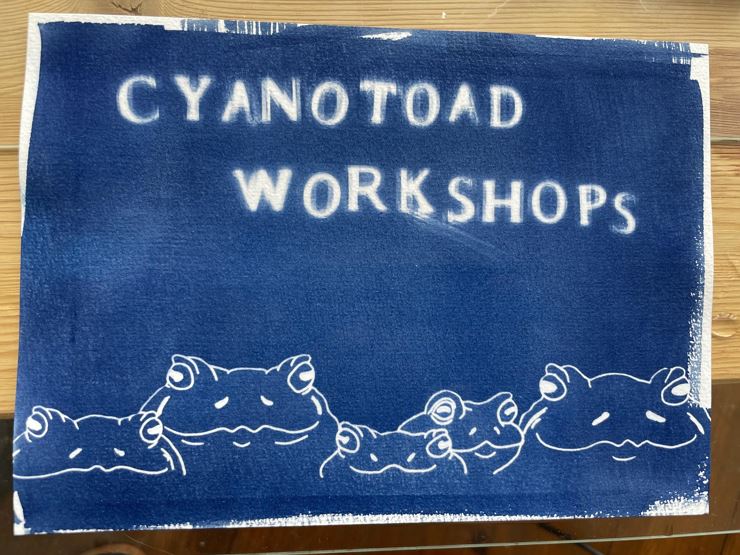 Cyanotypie Workshop - Drucken mit der Sonne