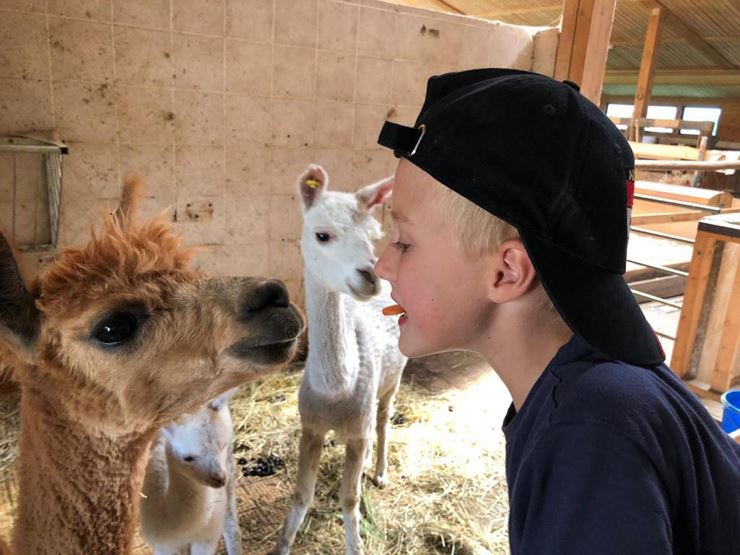 KINDER- UND FAMILIENPROGRAMM - Der Lilienhof ruft: Auf ins tierische Vergnügen!