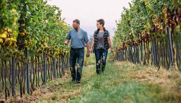 Wine tasting with the Diem winery