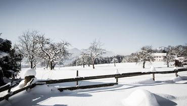 Winterwandern mit Aussicht und Genuss - unterwegs am Niederndorferberg